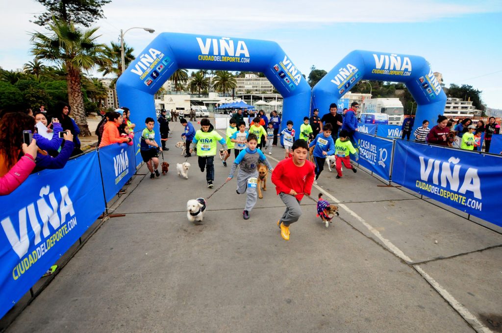 Imagen principal: Masiva participación  tuvo tercera fecha de las perrorunning organizada por el municipio de Viña del Mar