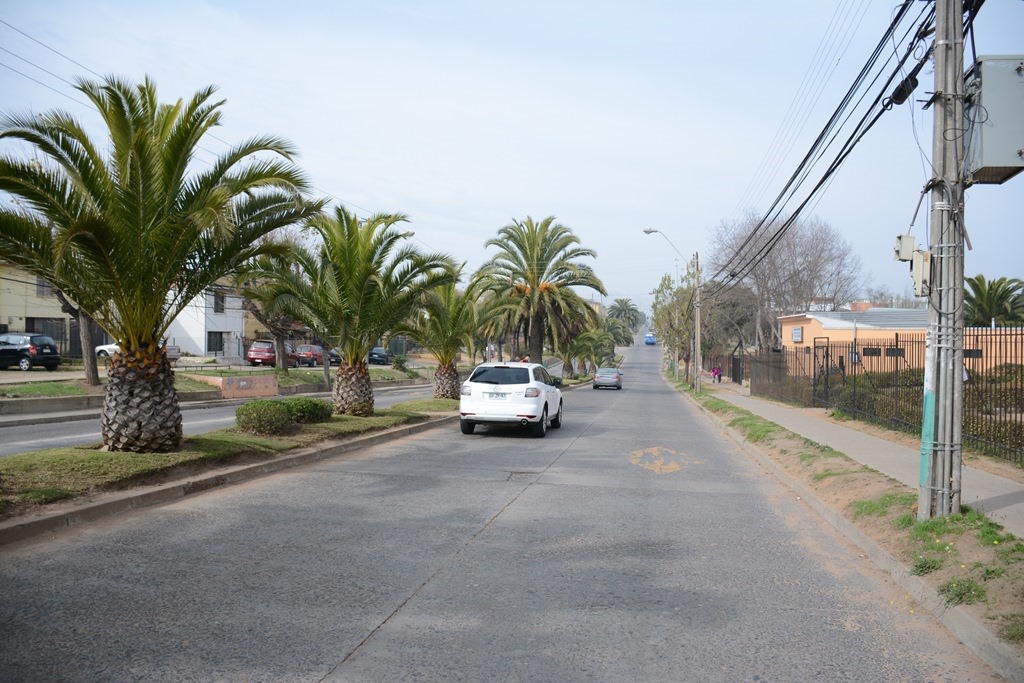 Municipio de Viña del Mar repondrá principales vías de Gómez Carreño