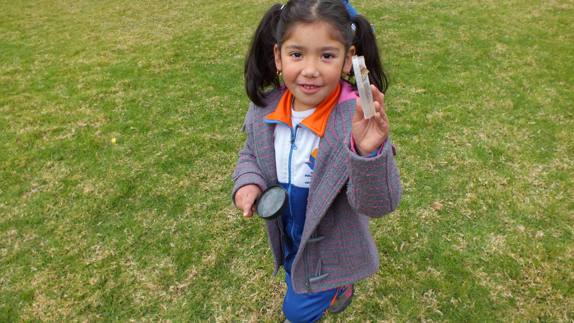 Municipio de Viña del Mar invita a niños a convertirse en Eco Detectives en taller de patrimonio natural en Jardín Botánico Nacional