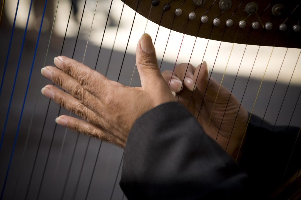 Imagen principal: Municipalidad de Viña del Mar invita a espectáculo “El Arpa Chilena en concierto”