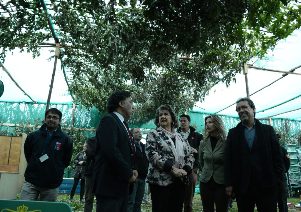 Imagen principal: Ramadas del Sporting fueron inspeccionadas por la alcaldesa Virginia Reginato y autoridades reginales