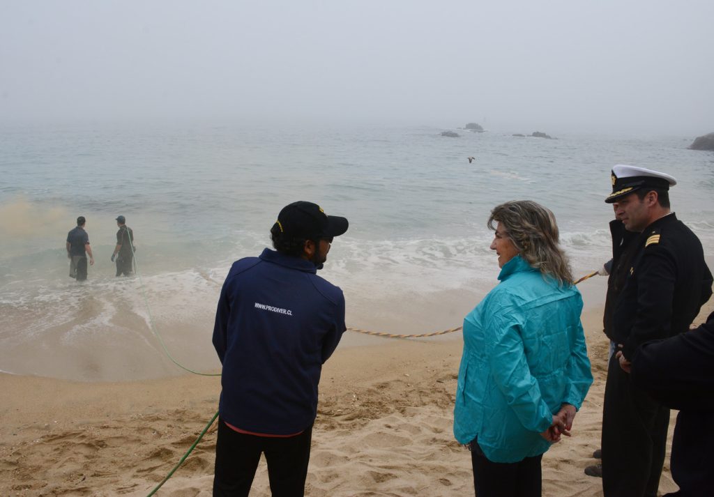 Imagen principal: Municipio de Viña del Mar retira  estructuras metálicas en playa Caleta Abarca