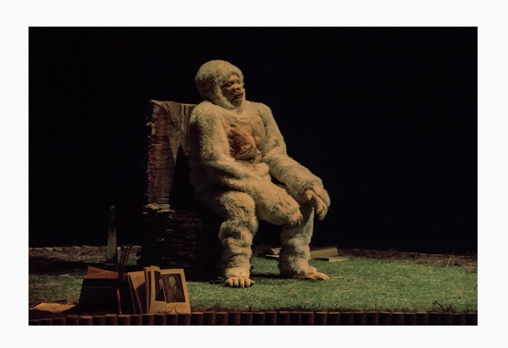 Imagen principal: Municipalidad de Viña del Mar y UST invitan a obra “Últimas palabras de Copito de Nieve”