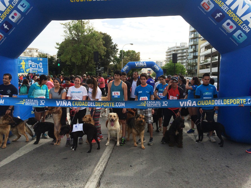El domingo se realiza en Viña del Mar nueva fecha de Perrorunning