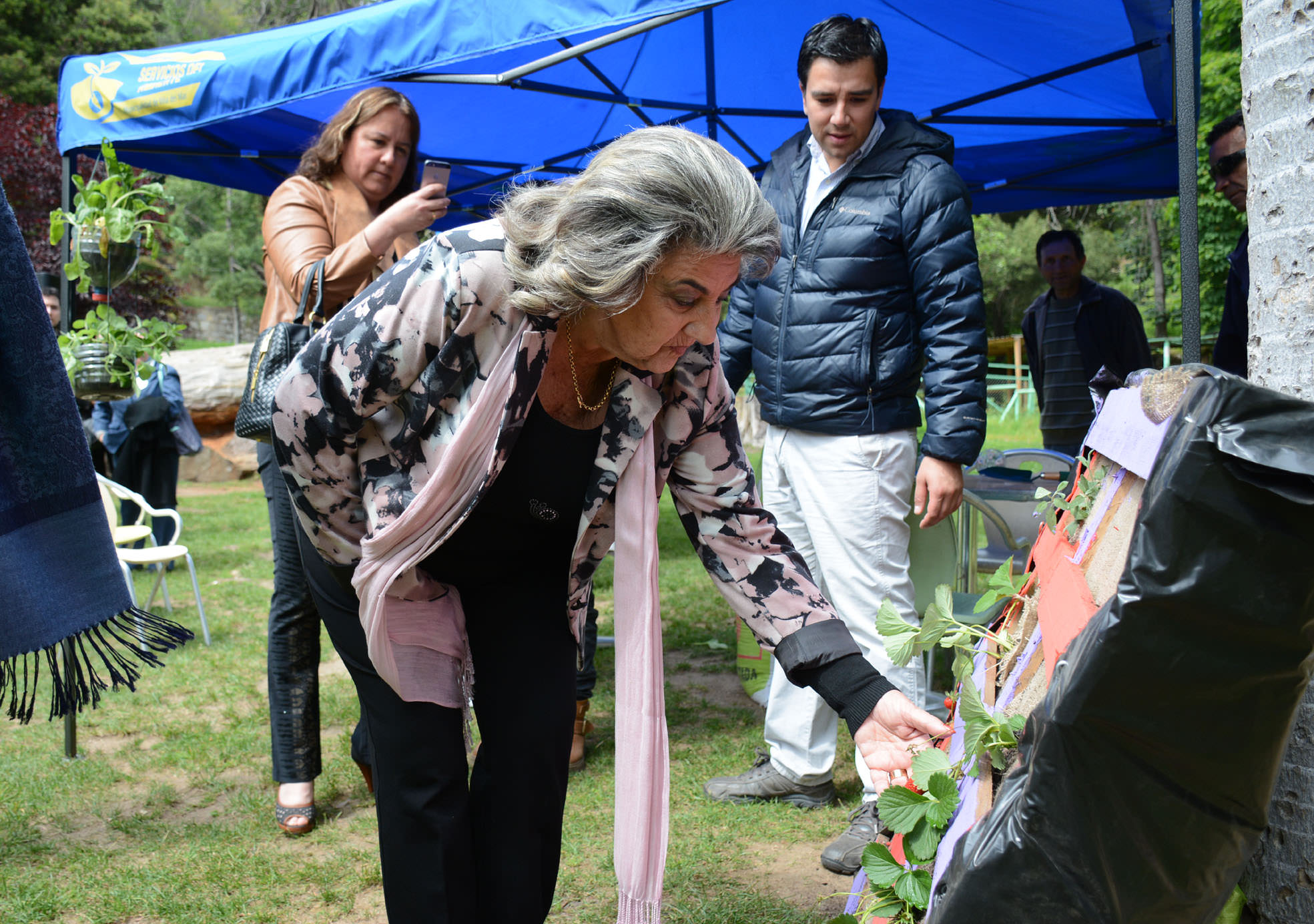 1ª feria sustentable realizará municipio de Viña del Mar en jardines de la Quinta Vergara