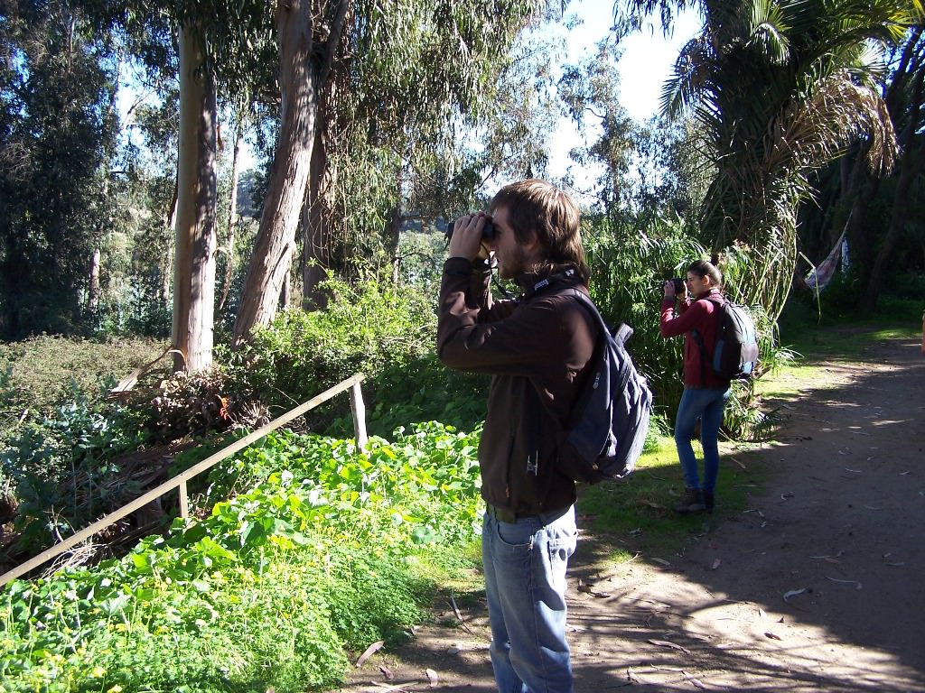 Municipio de Viña del Mar invita al 8° Festival de Aves de Chile