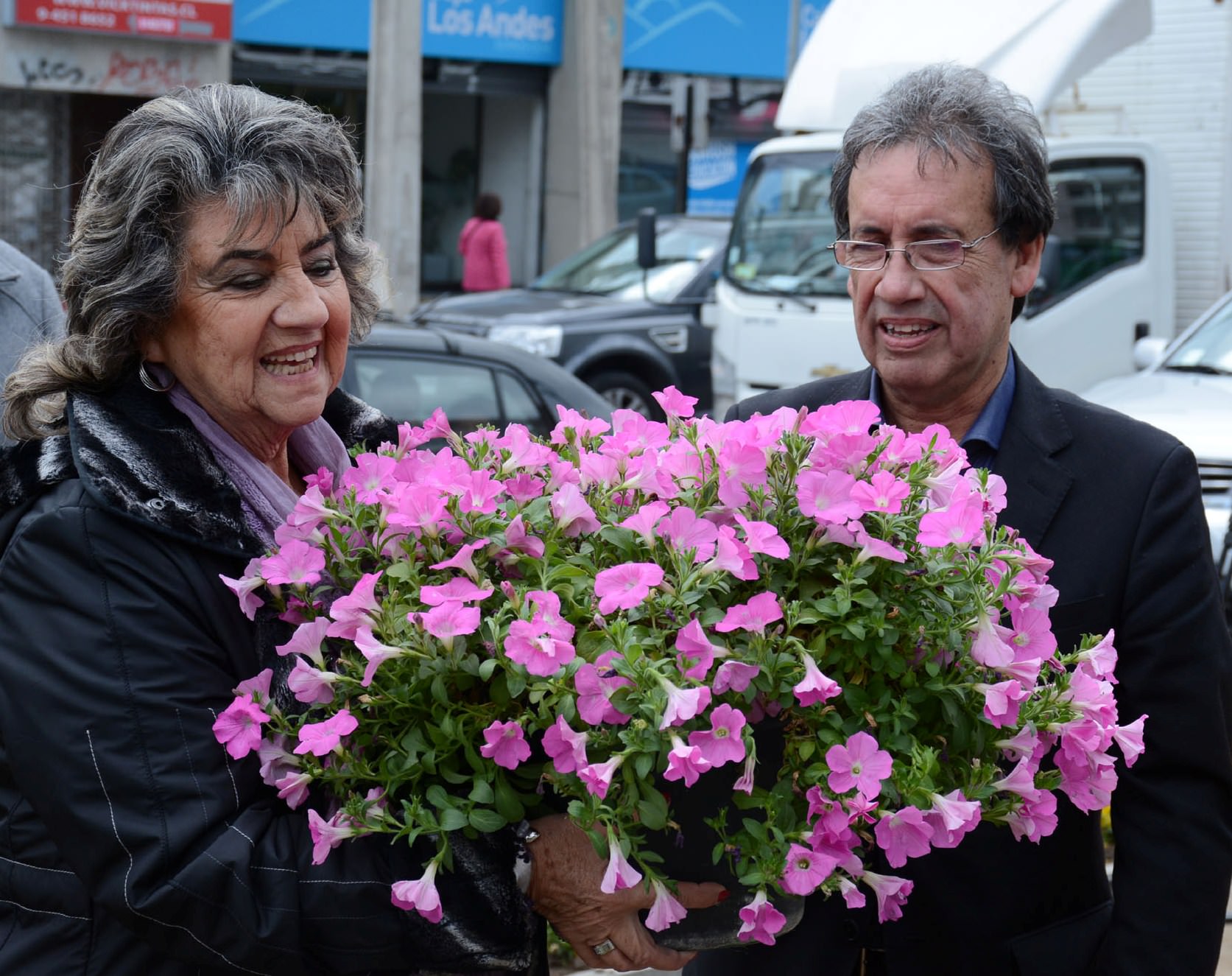 Macetas ornamentales subirán a  1.700 en la ciudad de Viña del Mar