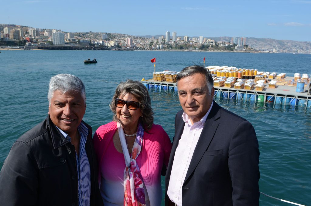 Imagen principal: Comenzó instalación de plataformas de lanzamiento de fuegos artificiales en Viña del Mar