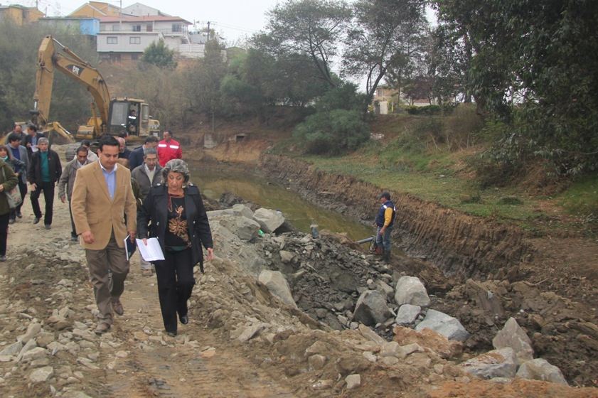 MUNICIPALIDAD DE VIÑA DEL MAR LICITÓ OBRAS DE DESEMBANQUE Y RETIRO DE MALEZA ACUÁTICA EN TRANQUE FORESTAL