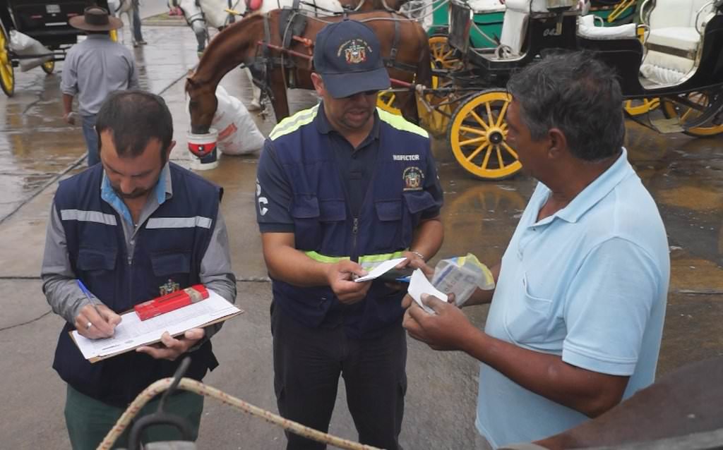 GRUPO OPERATIVO INTENSIFICARÁ FISCALIZACIÓN A COCHES VICTORIA EN VIÑA DEL MAR