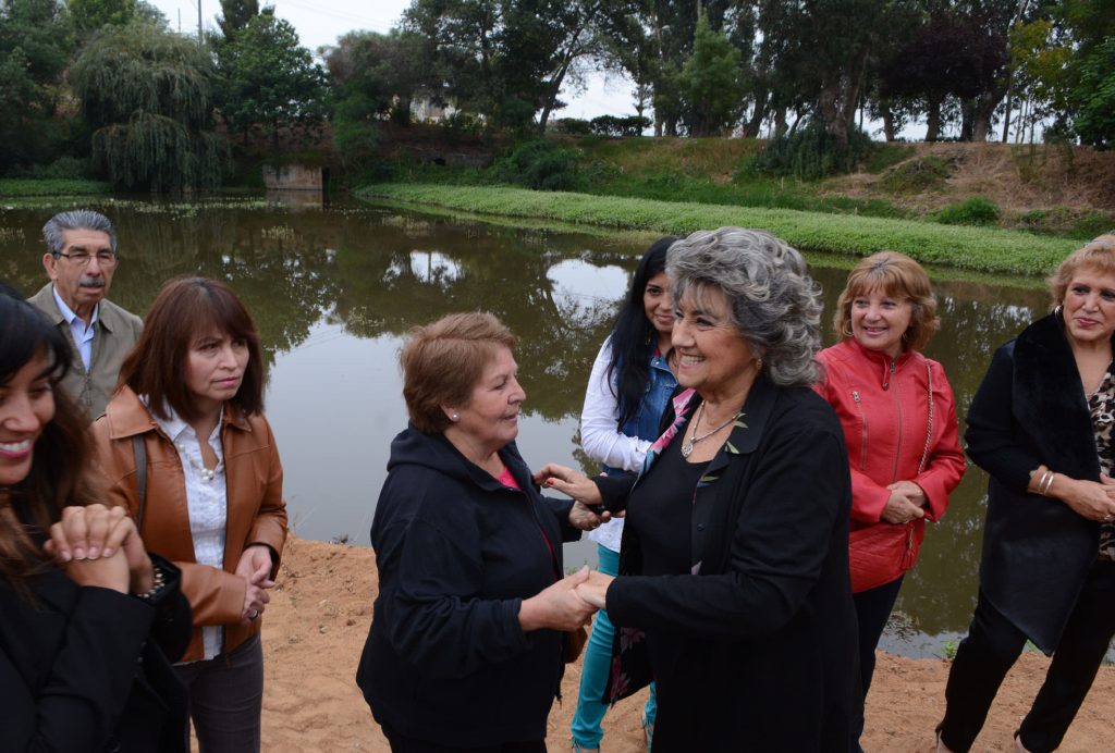 Imagen principal: Municipalidad de Viña del Mar comenzó obras de recuperación de tranque Forestal