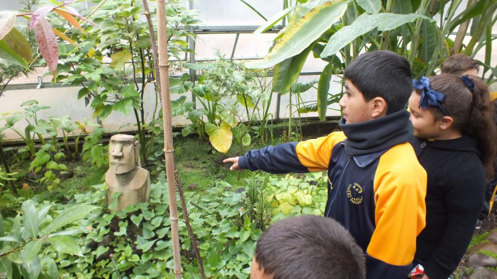 Imagen principal: Municipalidad de Viña del Mar invita a talleres y actividades infantiles