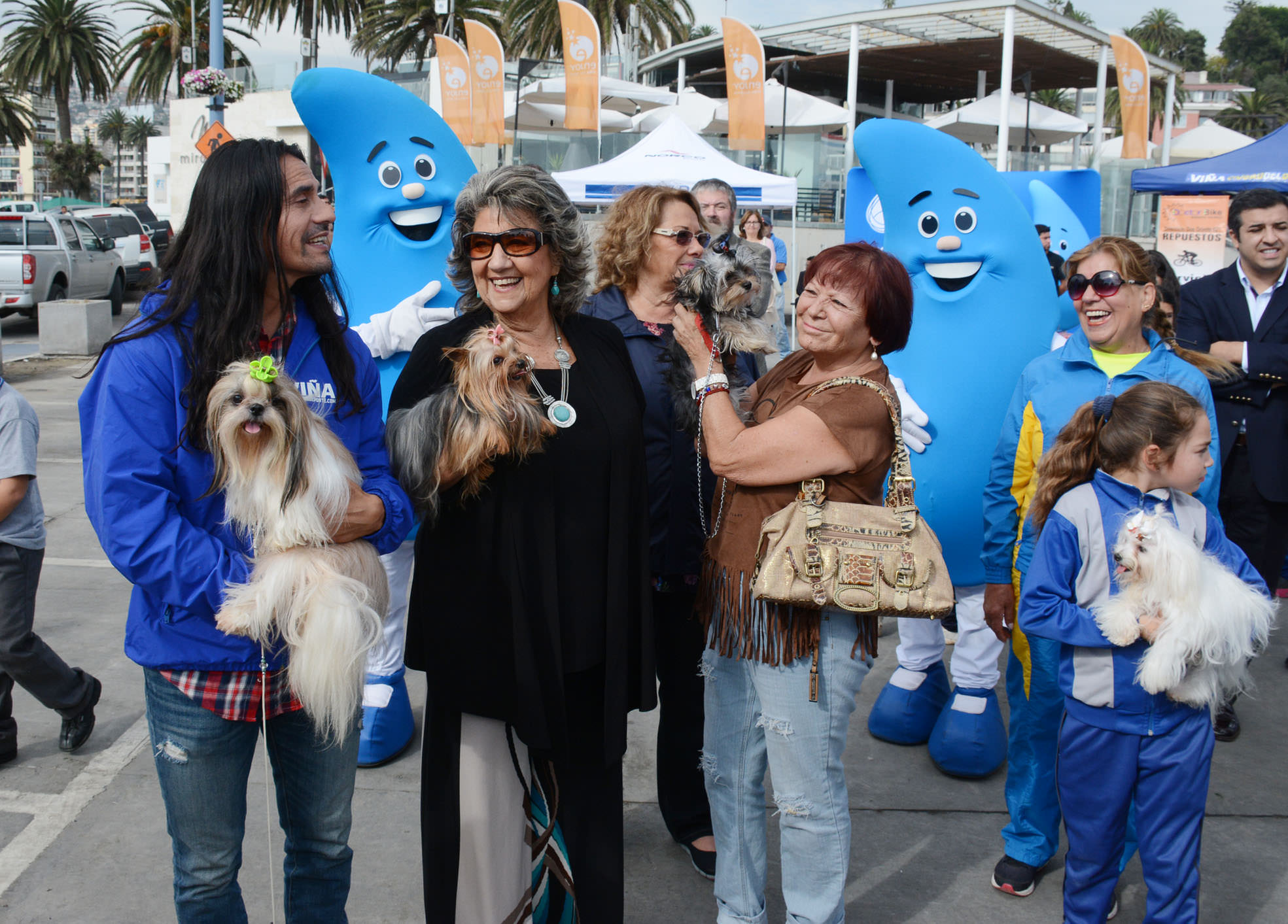 14 eventos conforman la temporada 2016 de las actividades deportivas familiares  en Viña del Mar