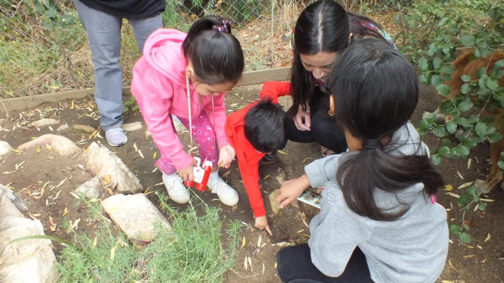 Imagen principal: Talleres de patrimonio natural realiza el Municipio de Viña del Mar  en  Jardín Botánico Nacional para alumnos de educación básica