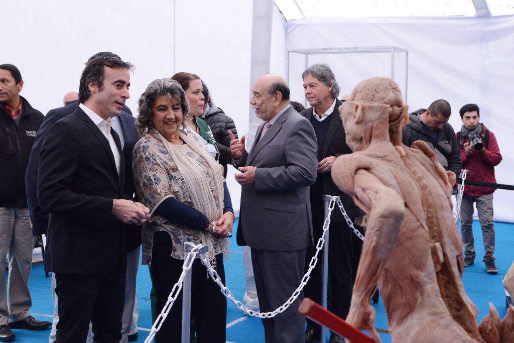 Imagen principal: En Viña del Mar se desarrolla inédita exposición de cuerpos y órganos reales
