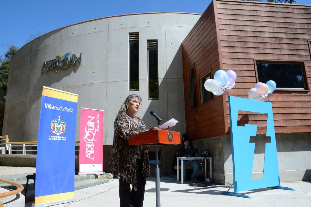 Artequin Viña del Mar recibe nuevo patrocinio UNESCO para su programa educativo 2016