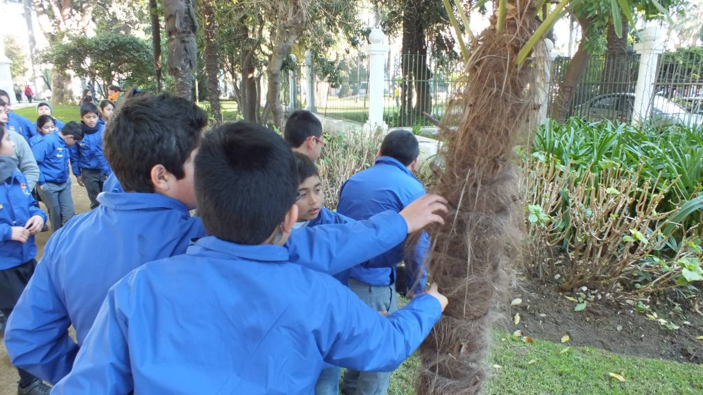 Imagen principal: Alumnos de escuelas Municipales de Viña del Mar conocen distintas especies que componen patrimonio natural de los jardines del Palacio Rioja