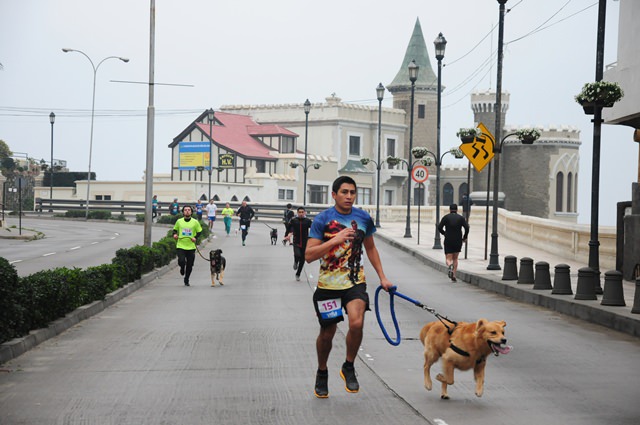 Familias completas participaron en tercera Perrorunning en  Viña del Mar