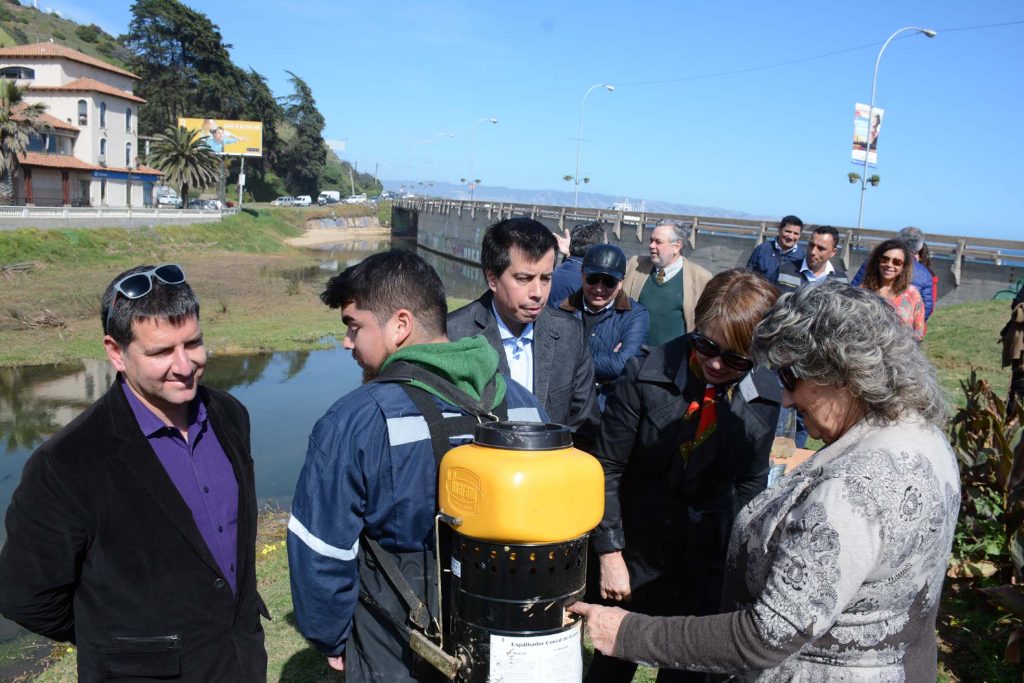 Imagen principal: Municipio de Viña del Mar previene presencia de zancudos adelantando control en estero de Reñaca
