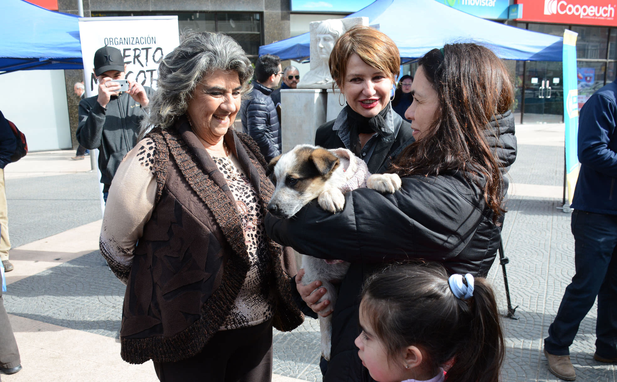 Con jornada de adopción municipio de Viña del Mar refuerza tenencia responsable de mascotas en Viña del Mar
