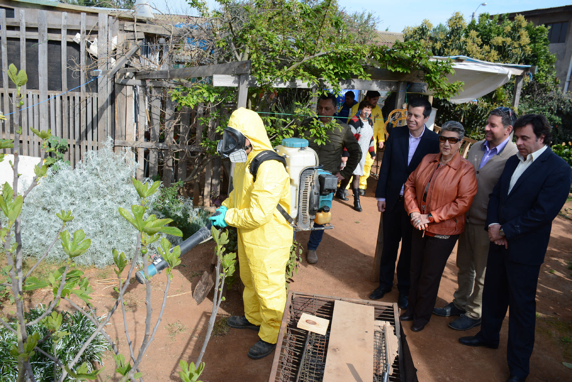 Municipio de Viña del Mar inició programa de control contra la garrapata