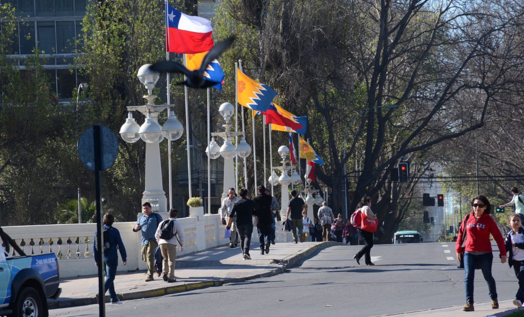 Imagen principal: Viña del Mar se engalana para Fiestas Patrias