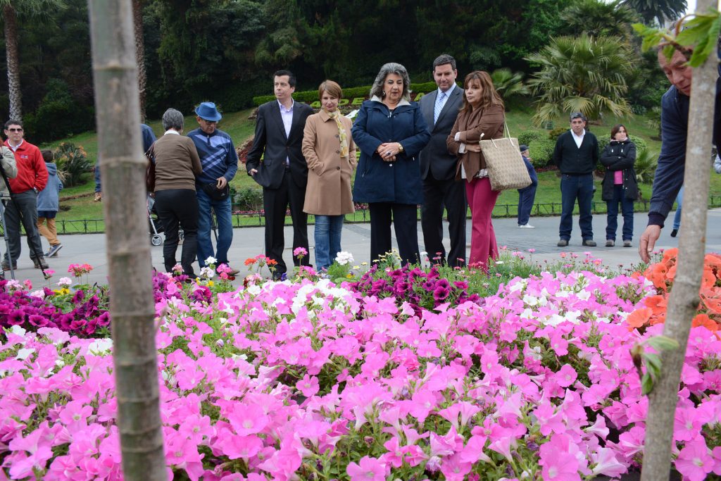 Imagen principal: Municipio de Viña del Mar renovará 150 mil especies florales en temporada primavera- verano