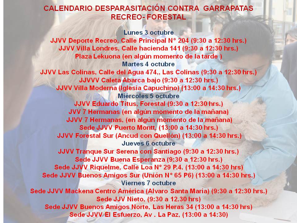 Municipalidad de Viña del Mar informa calendario de desparasitacion contra la garrapata de esta semana