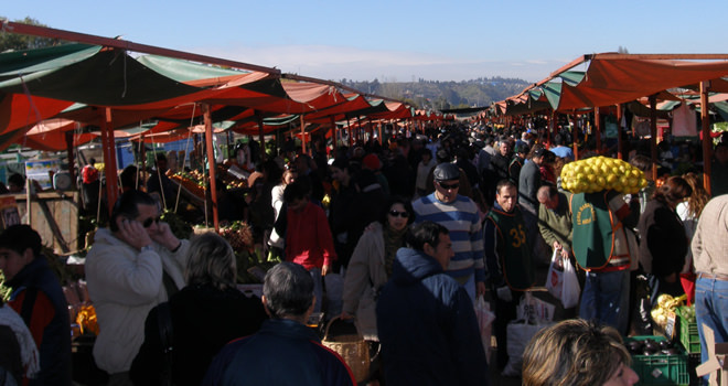 Calendario ferias libres en Viña del Mar