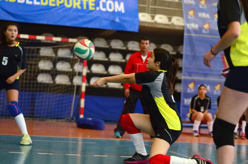 Con gran entusiasmo se sigue desarrollando la XII Olimpiada Escolar, “Campeones para Viña”