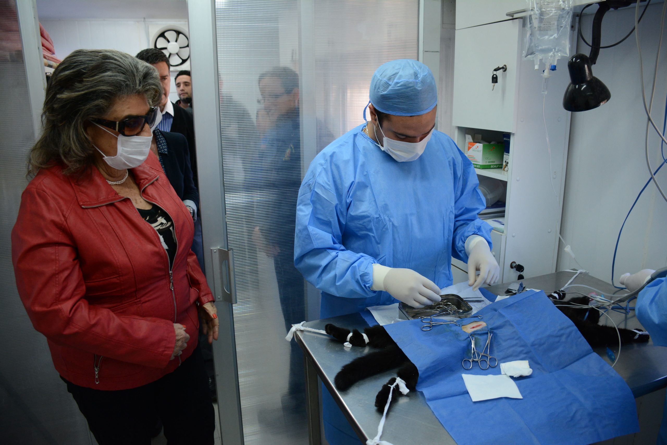 Inicio de proceso de licitación para esterilizar 3.000 mascotas informó alcaldesa Virginia Reginato