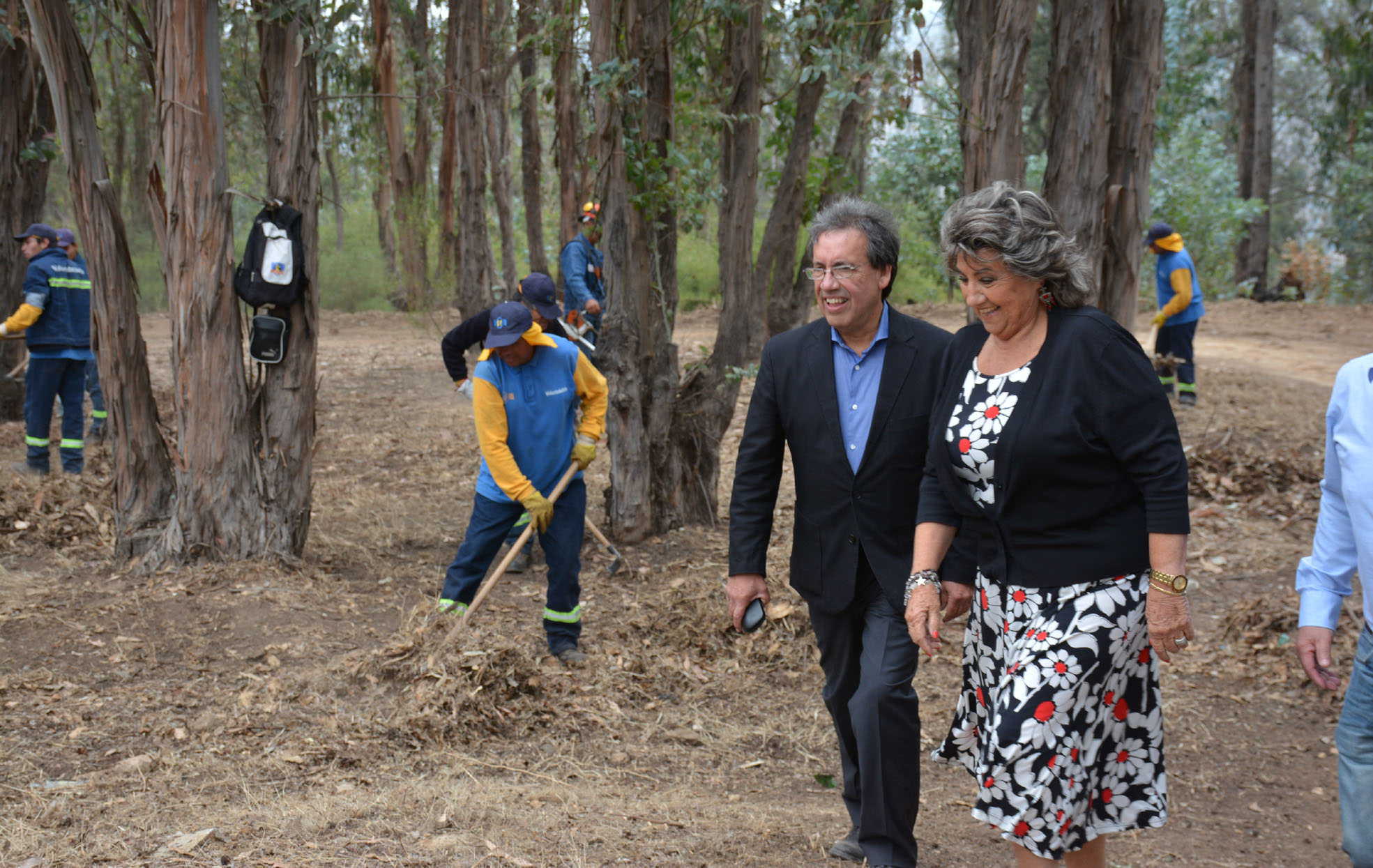 Municipio de Viña del  Mar refuerza acciones para minimizar riesgos en incendios forestales