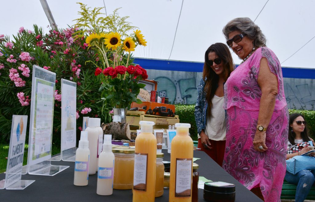 Imagen principal: Municipalidad de Viña del Mar realizará ciclo de ferias temáticas en el Palacio Carrasco