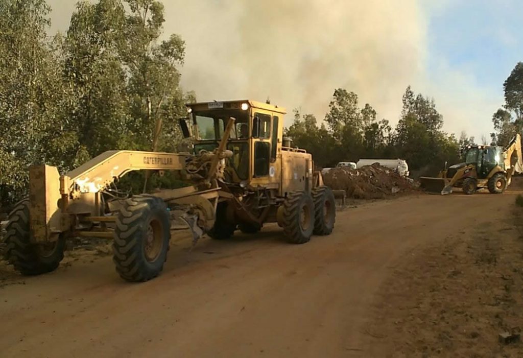 Imagen principal: ALCALDESA VIRGINIA REGINATO LAMENTA PÉRDIDAS MATERIALES DE VECINOS A CAUSA DE INCENDIO FORESTAL URBANO