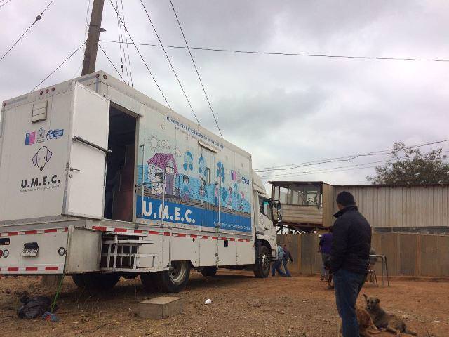 Municipio de Viña del Mar realizará operativo veterinario para Comité Nueva Esperanza de Forestal Alto