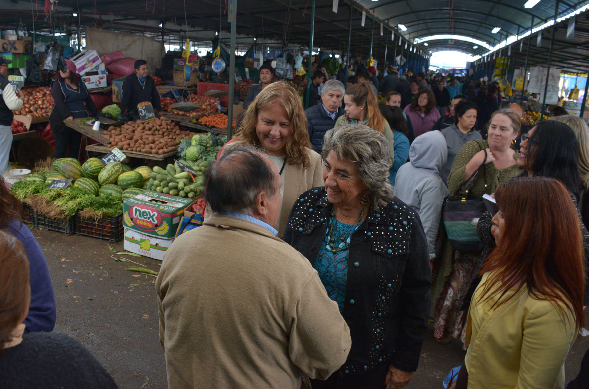 Ferias hortofrutícolas se unieron para promocionar alimentación saludable en Viña del Mar