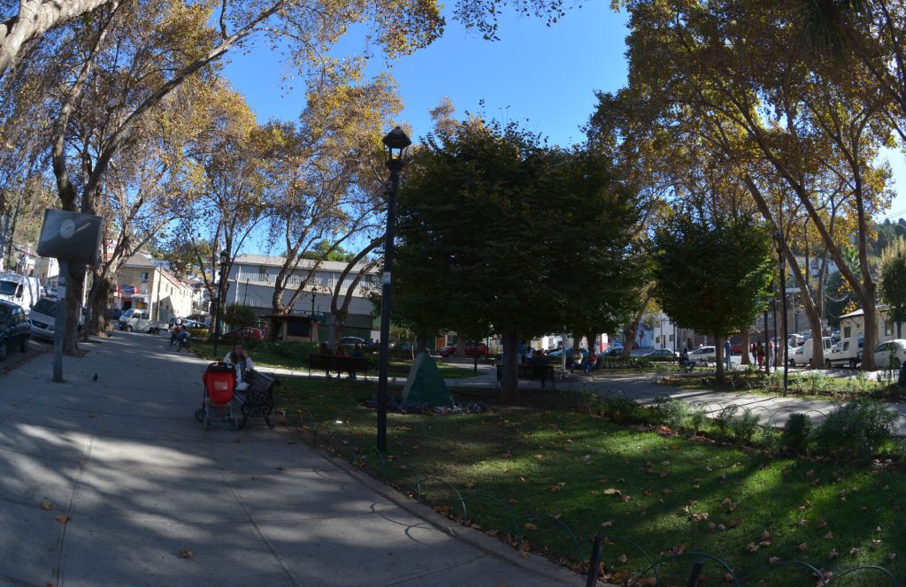 Imagen principal: Municipio de Viña del Mar adjudicó mejoramiento de iluminación para sector de plaza Forestal