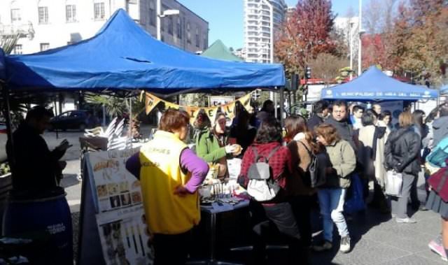 Municipio de Viña del Mar conmemorará el día mundial   del Medio Ambiente con feria temática
