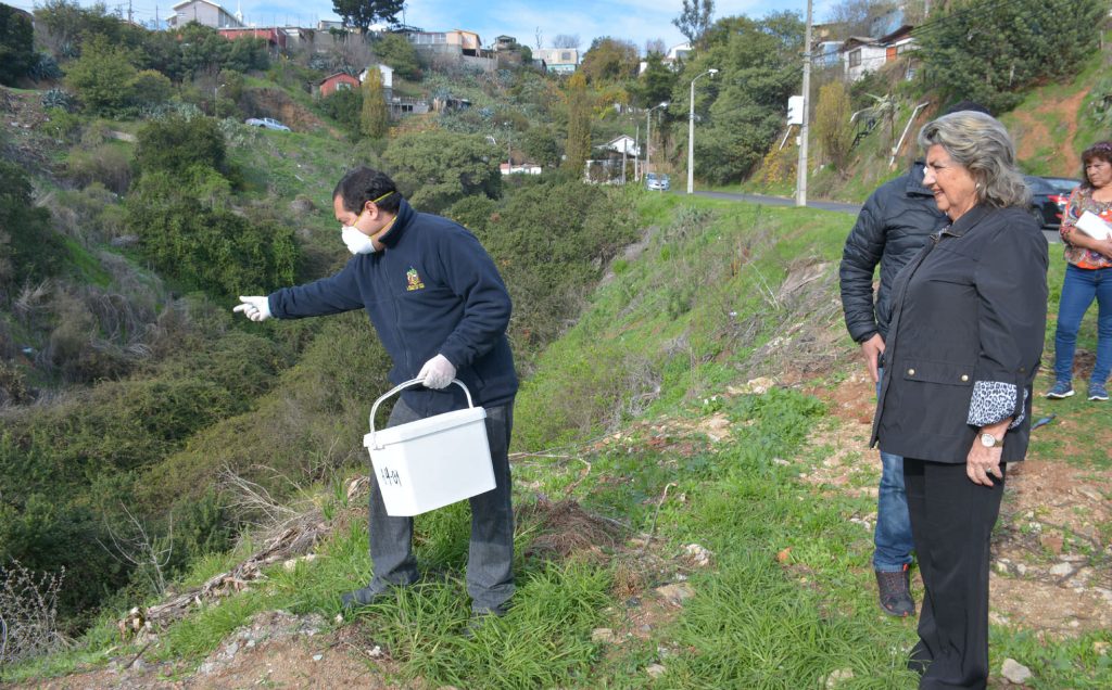 Imagen principal: Municipio de Viña del Mar desarrolla intenso programa de desratización en sectores urbanos