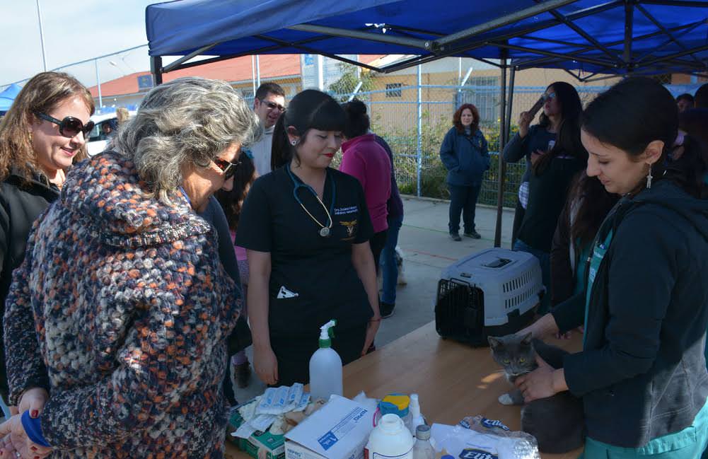 Vecinos de Villa Hermosa recibieron valioso apoyo a través de operativo social del municipio de Viña del Mar