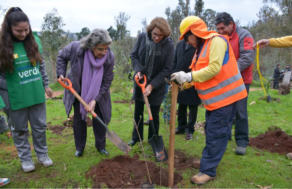 Reforestacion Quinta Vergara
