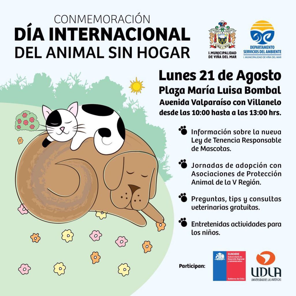 Imagen principal: Municipio de Viña del Mar realizó jornada para fomentar la  tenencia responsable de mascotas