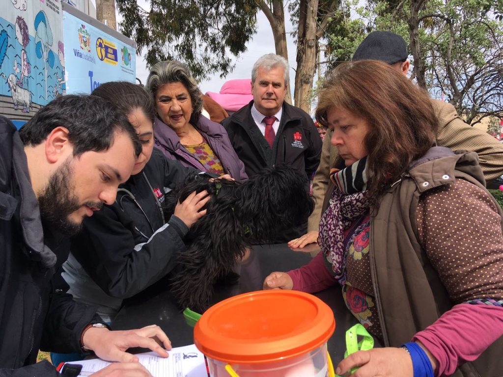 Imagen principal: Proyecto de tenencia de mascotas entre municipio de Viña del Mar y UVM beneficiará a vecinos  de Reñaca Alto