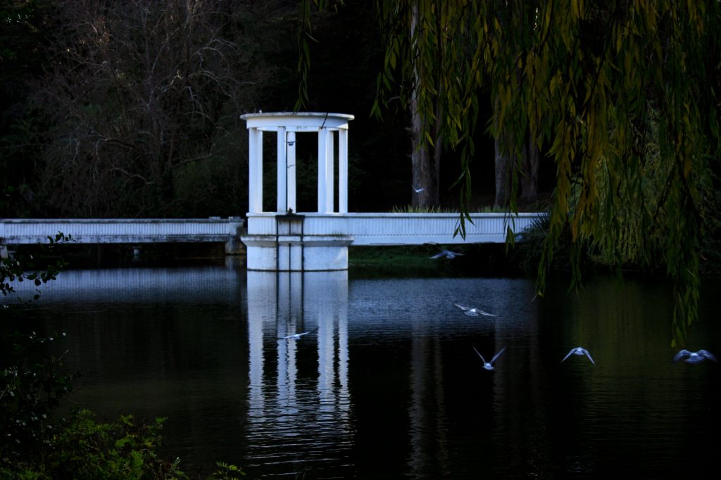 Imagen principal: Municipio de Viña del Mar invita a  “Pedalear y Pajarear” con el  10 º Festival del Aves