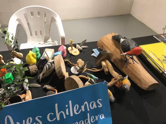 Con premiación de concursos, alcaldesa Virginia Reginato,  clausuró 10° festival de Aves