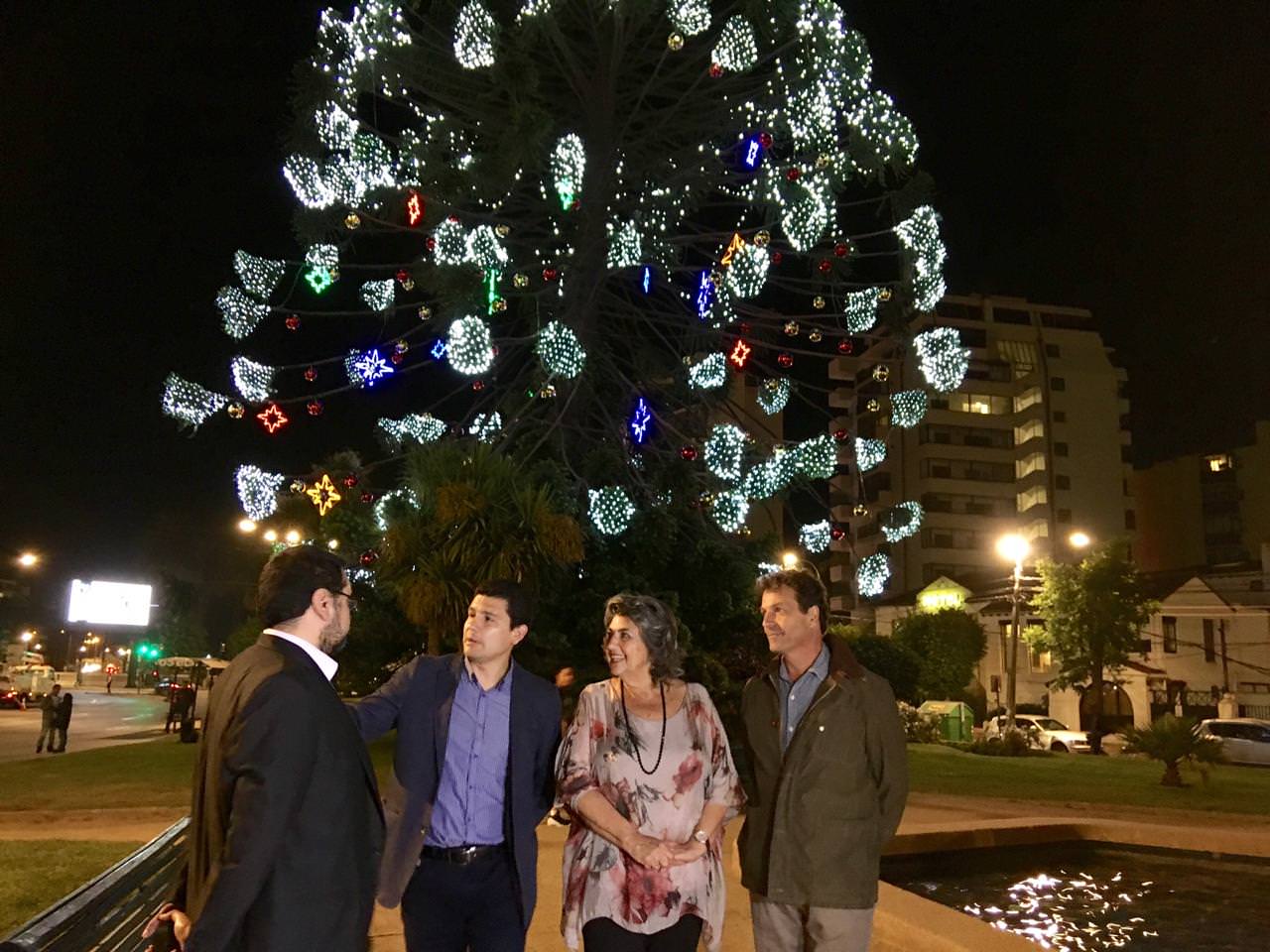 Iluminación ornamental veraniega  en Viña del Mar