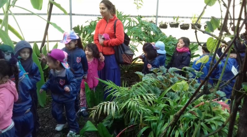Municipio de Viña del Mar  y Jardín Botánico Nacional enseñó a más de 600 niños qué es Patrimonio natural