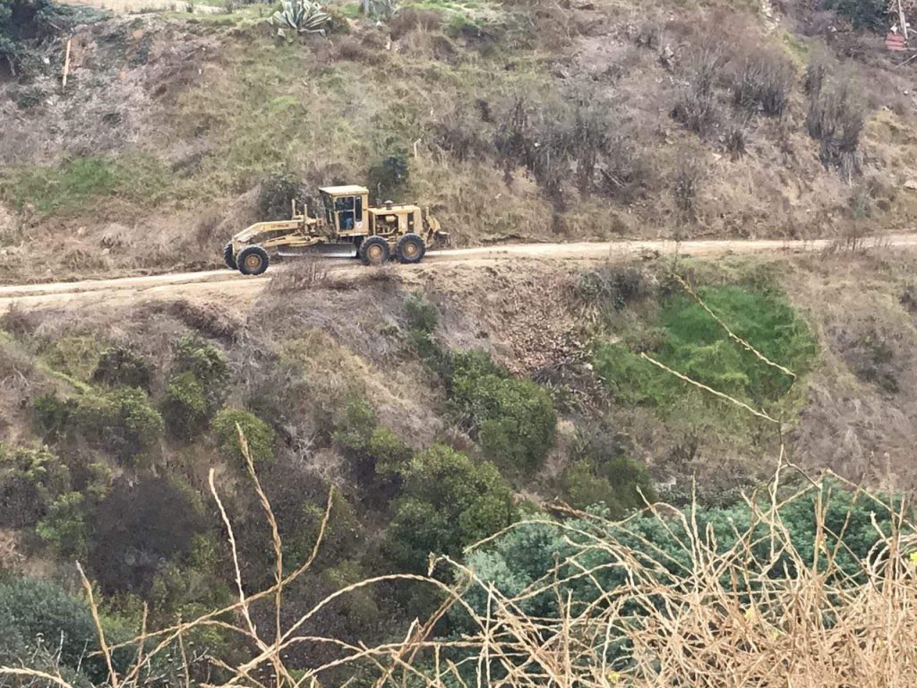 Imagen principal: Plan municipal de prevención contribuyó a reducción de incendios forestales durante  temporada estival en Viña del Mar