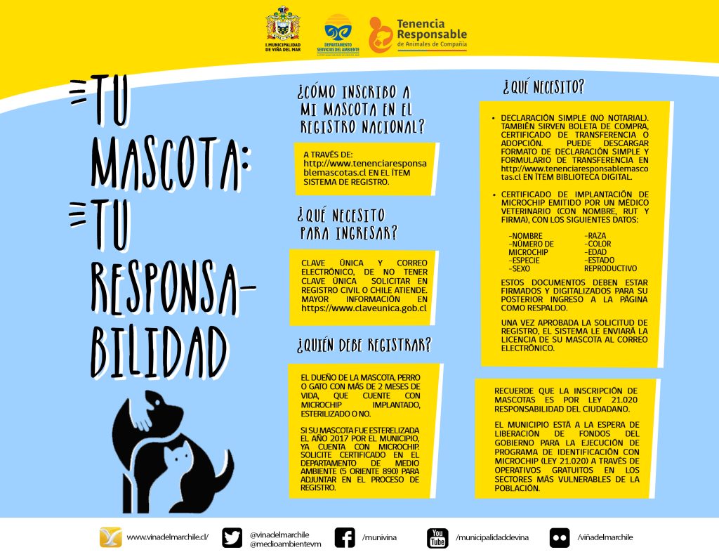 Imagen principal: Municipio del Viña del Mar trabaja para apoyar aplicación del Registro Nacional de Mascotas
