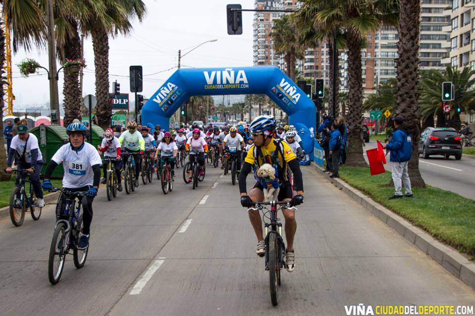Vuelven a Viña del Mar las corridas, perrorunning y cicletadas familiares